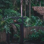 Welcome to paradise 🌿✨
📸: @pedromestres 
#uniquexotichotel #nature #wonderlust #samaná #dominicanrepublic #travel #explore #discover